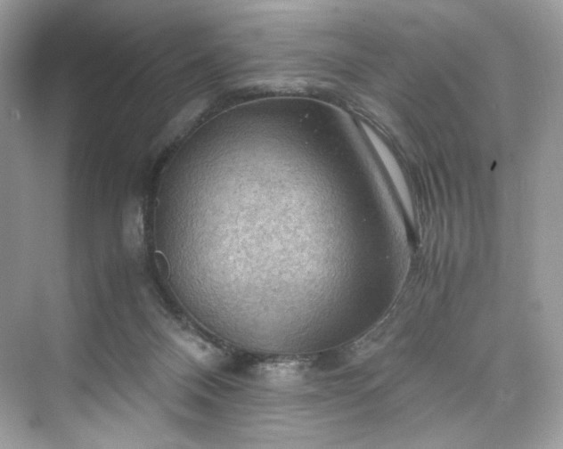 X0000075820120200609291421