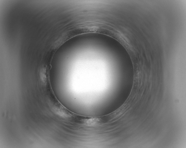 X0000075820122200609291421