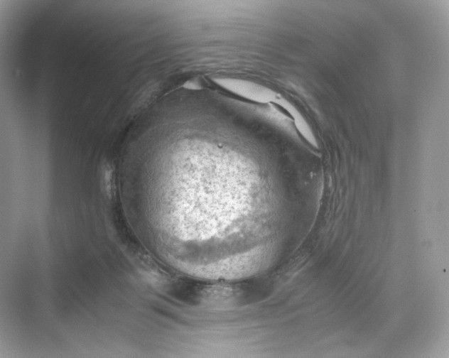 X0000075820123200609291421