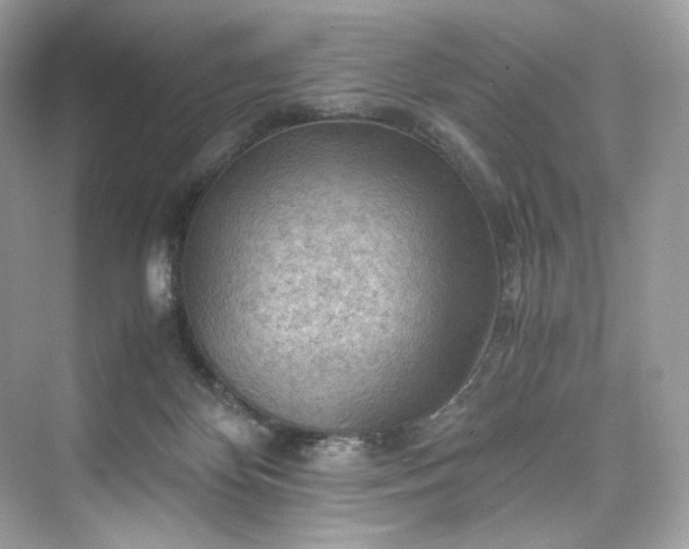 X0000075820124200609291421