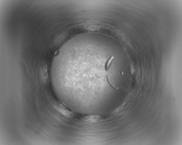 X0000075820128200609291421