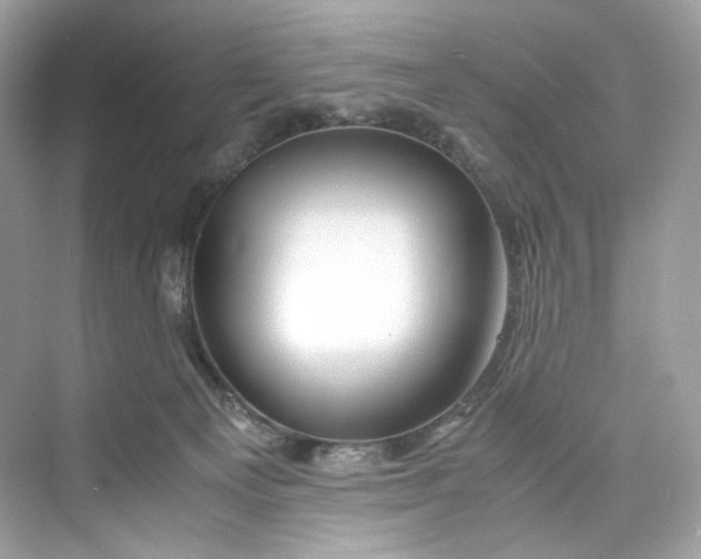 X0000075820129200609291421