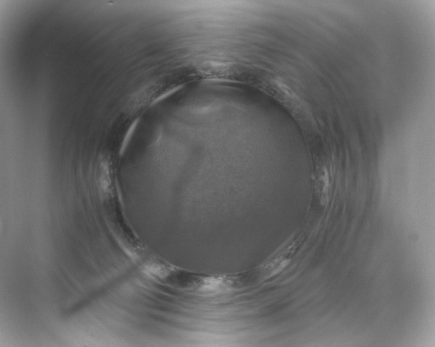 X0000075820130200609291421