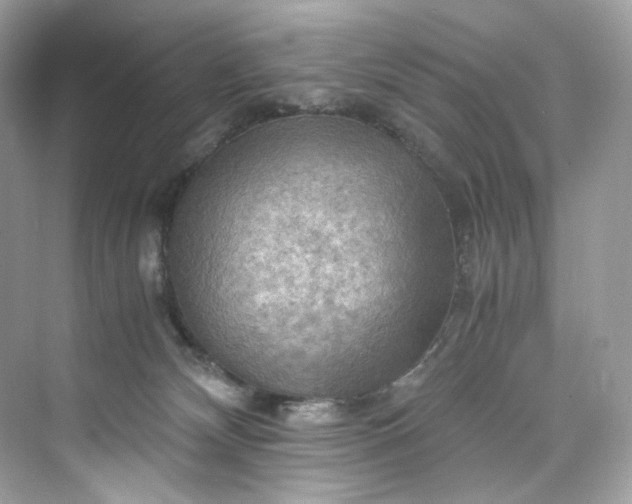 X0000075820132200609291421