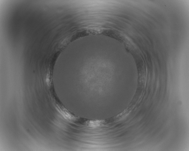 X0000075820134200609291421