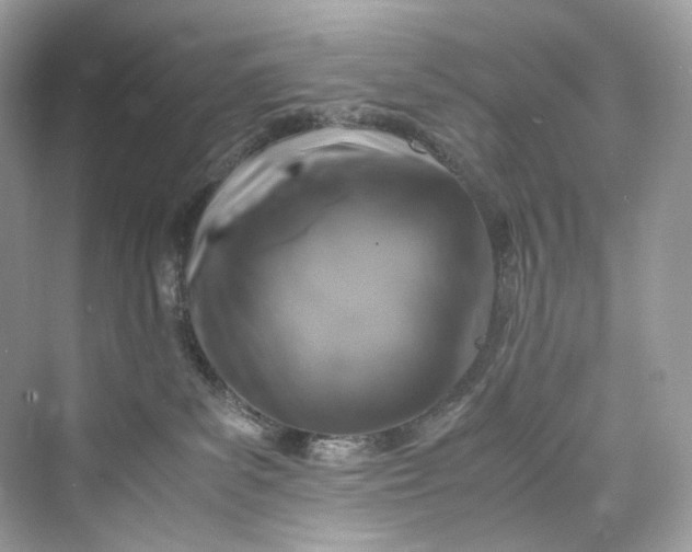 X0000075820139200609291421