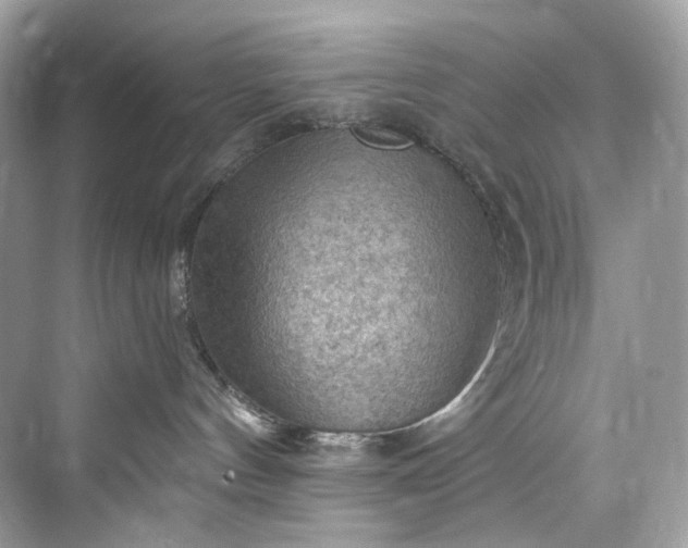 X0000075820144200609291420