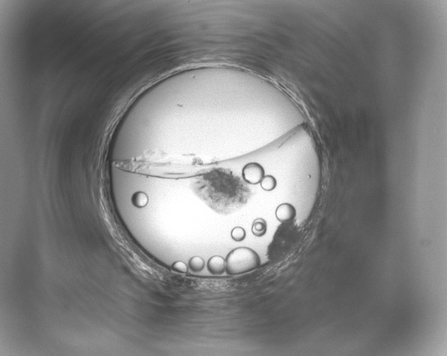 X0000075820145200609291420