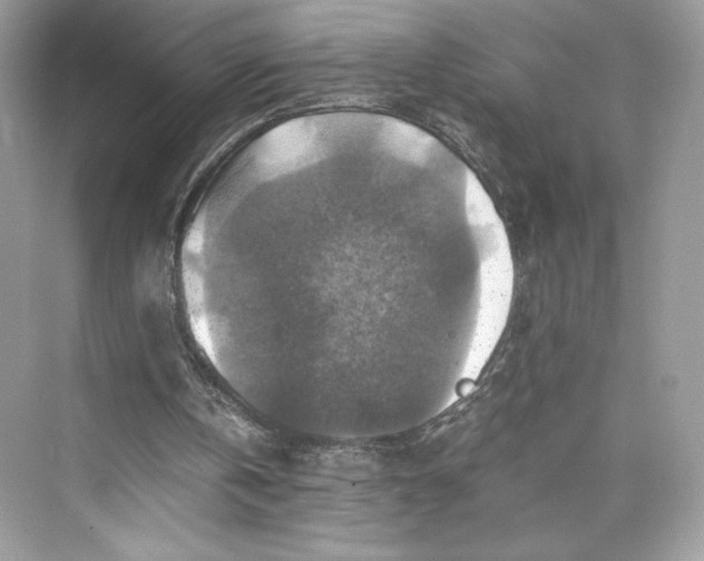 X0000075820146200609291420