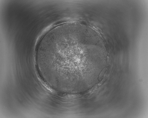 X0000075820149200609291420