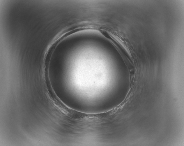 X0000075820150200609291420