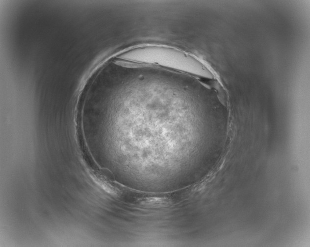 X0000075820151200609291420