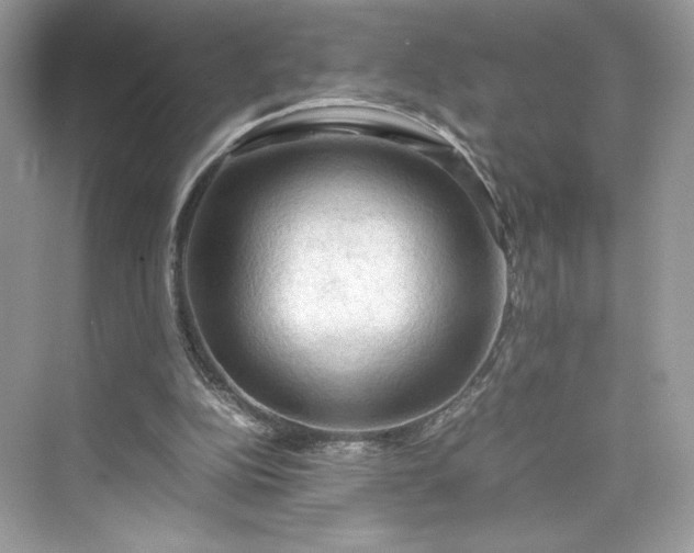 X0000075820152200609291420