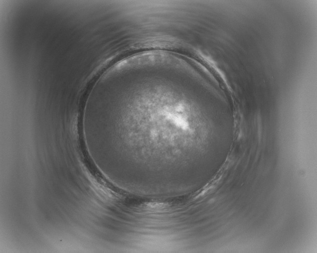 X0000075820154200609291420