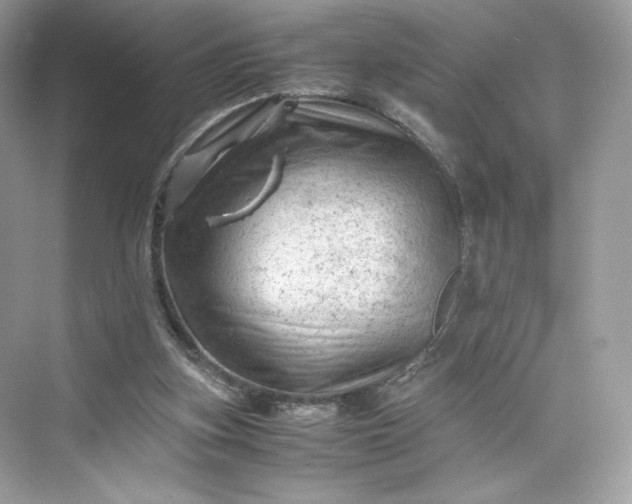 X0000075820155200609291420