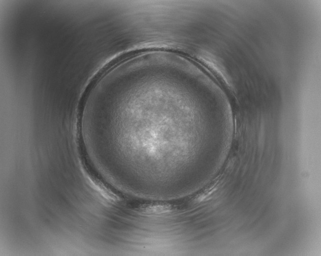 X0000075820156200609291420