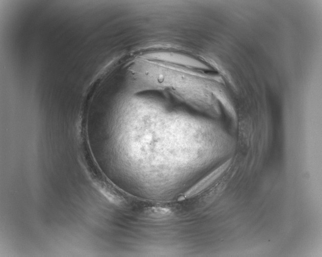 X0000075820159200609291420