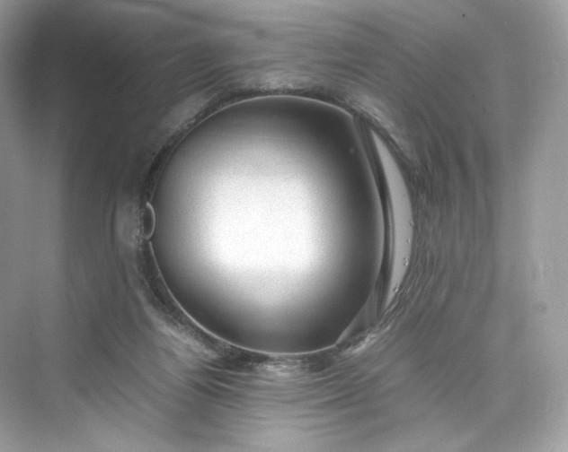 X0000075820164200609291420