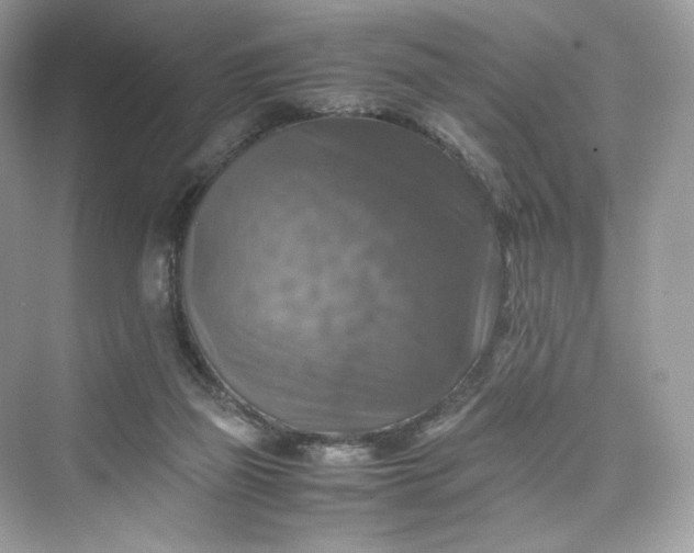 X0000075820165200609291420