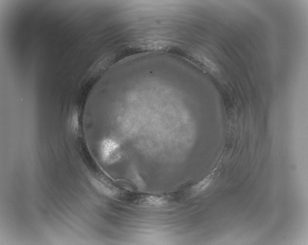 X0000075820166200609291420