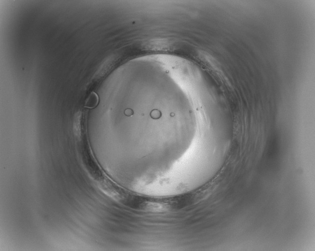 X0000075820167200609291420