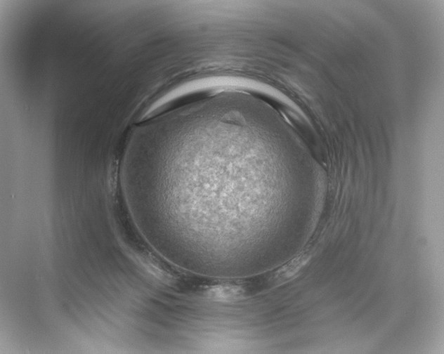 X0000075820168200609291420