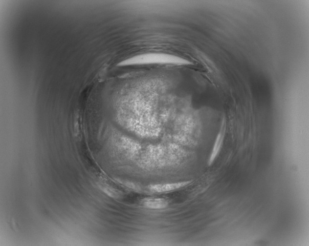 X0000075820169200609291420