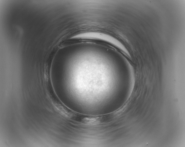 X0000075820170200609291420