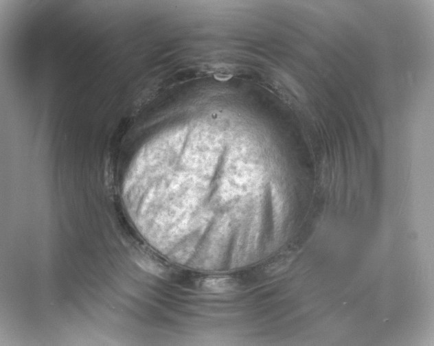 X0000075820173200609291420