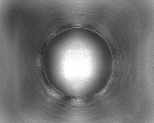 X0000075820174200609291420