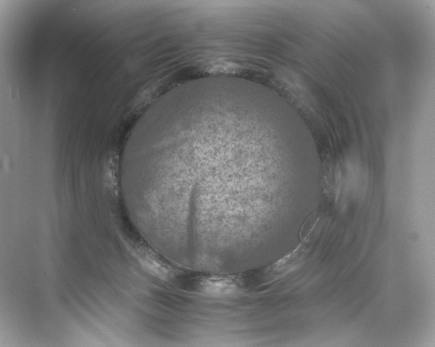 X0000075820175200609291420