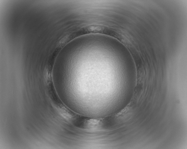 X0000075820176200609291420