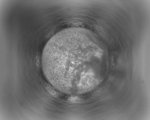 X0000075820177200609291420