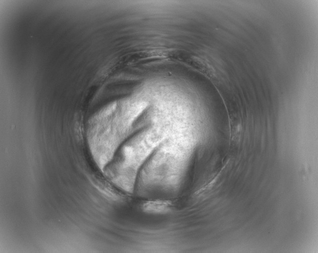 X0000075820179200609291420