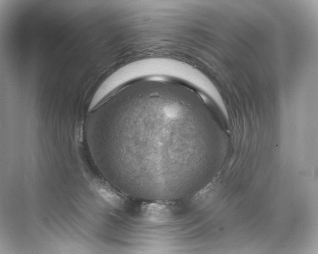 X0000075820180200609291420