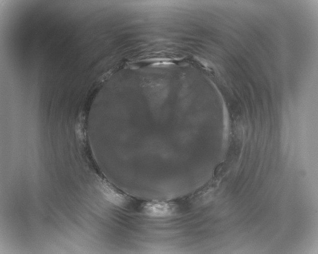 X0000075820181200609291420