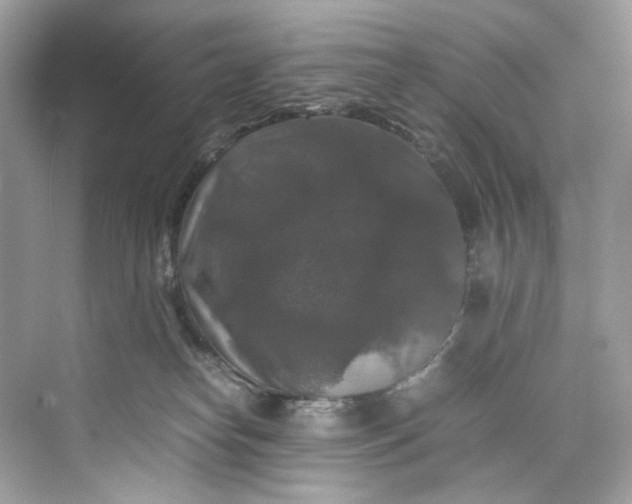 X0000075820182200609291420