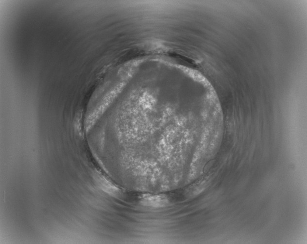 X0000075820185200609291420