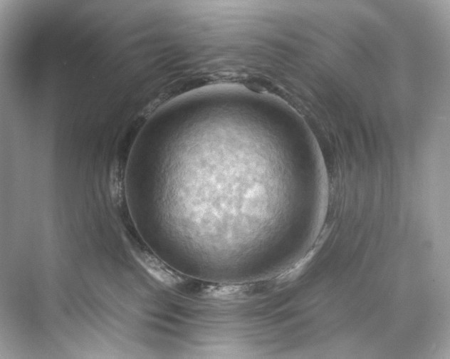 X0000075820186200609291420