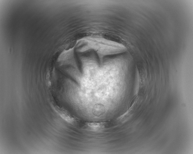 X0000075820187200609291420