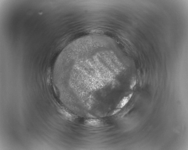 X0000075820189200609291420