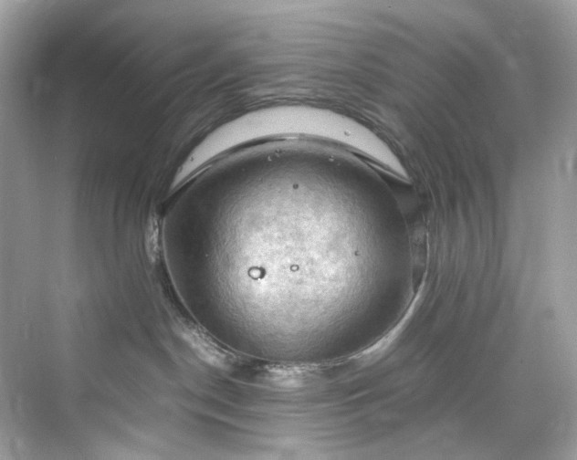 X0000075820190200609291420