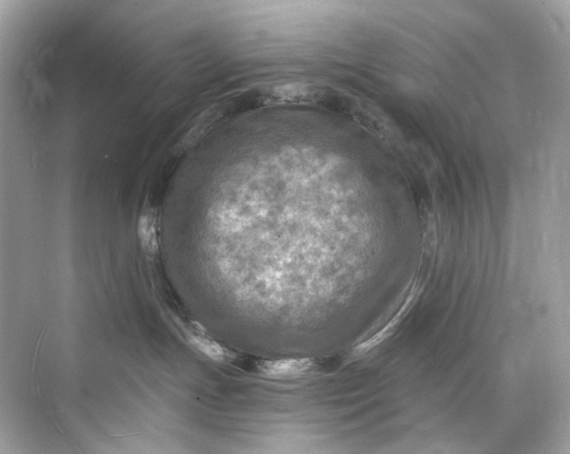 X0000075820191200609291420