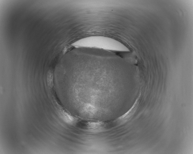 X0000075820192200609291420