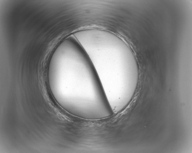 X0000075820193200609291420