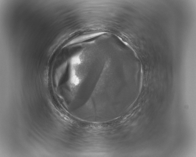 X0000075820194200609291420