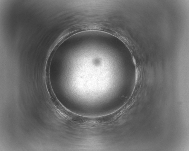 X0000075820195200609291420