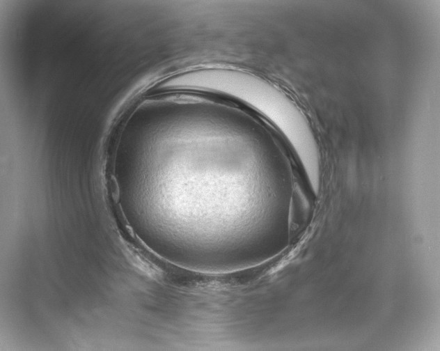 X0000075820197200609291420