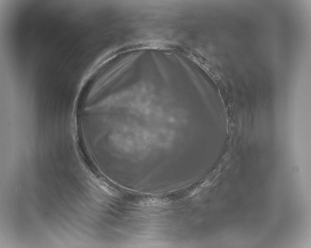 X0000075820198200609291420