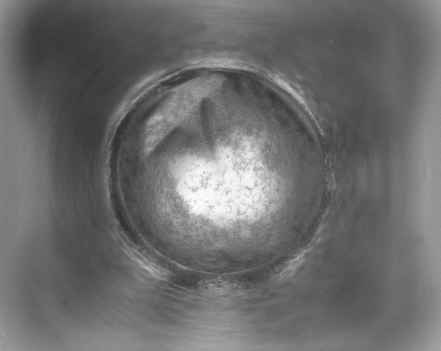 X0000075820199200609291420